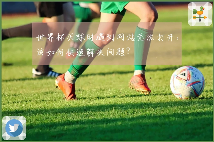 世界杯买球时遇到网站无法打开，该如何快速解决问题？